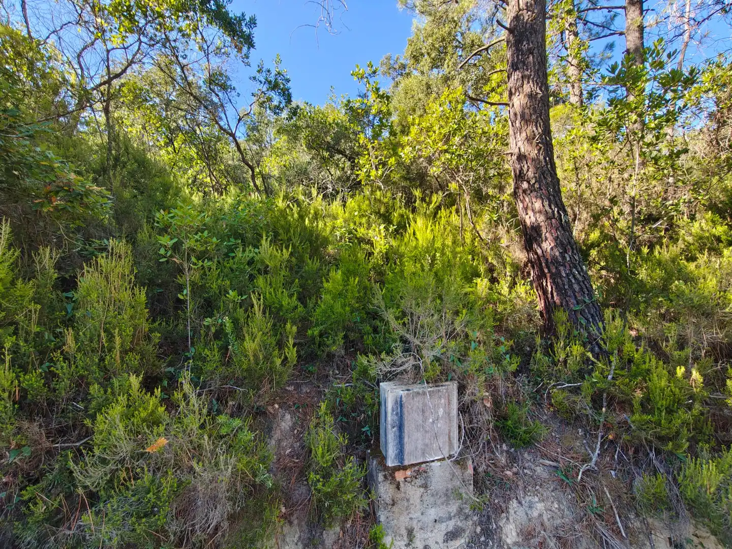 Terreno rustico in vendita a N/A, imagen 4