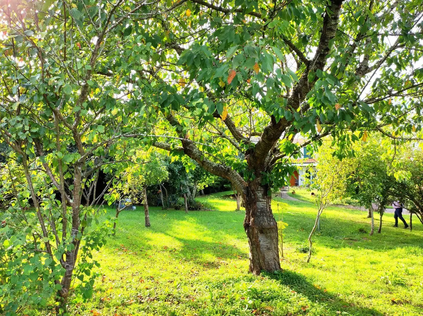 Xalet amb jardí en venda a Camino Sada Armuño, imagen 8