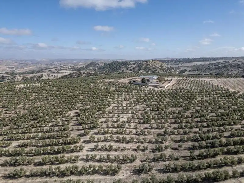 Land for sale in Alamedilla