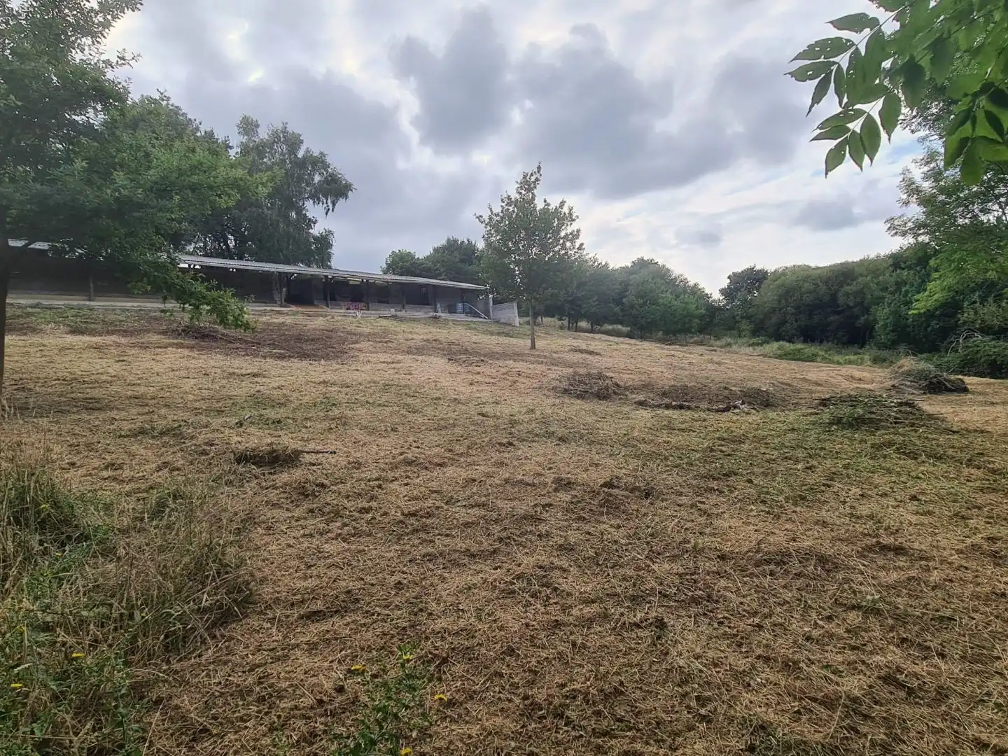 Terreno en venta en Bakio