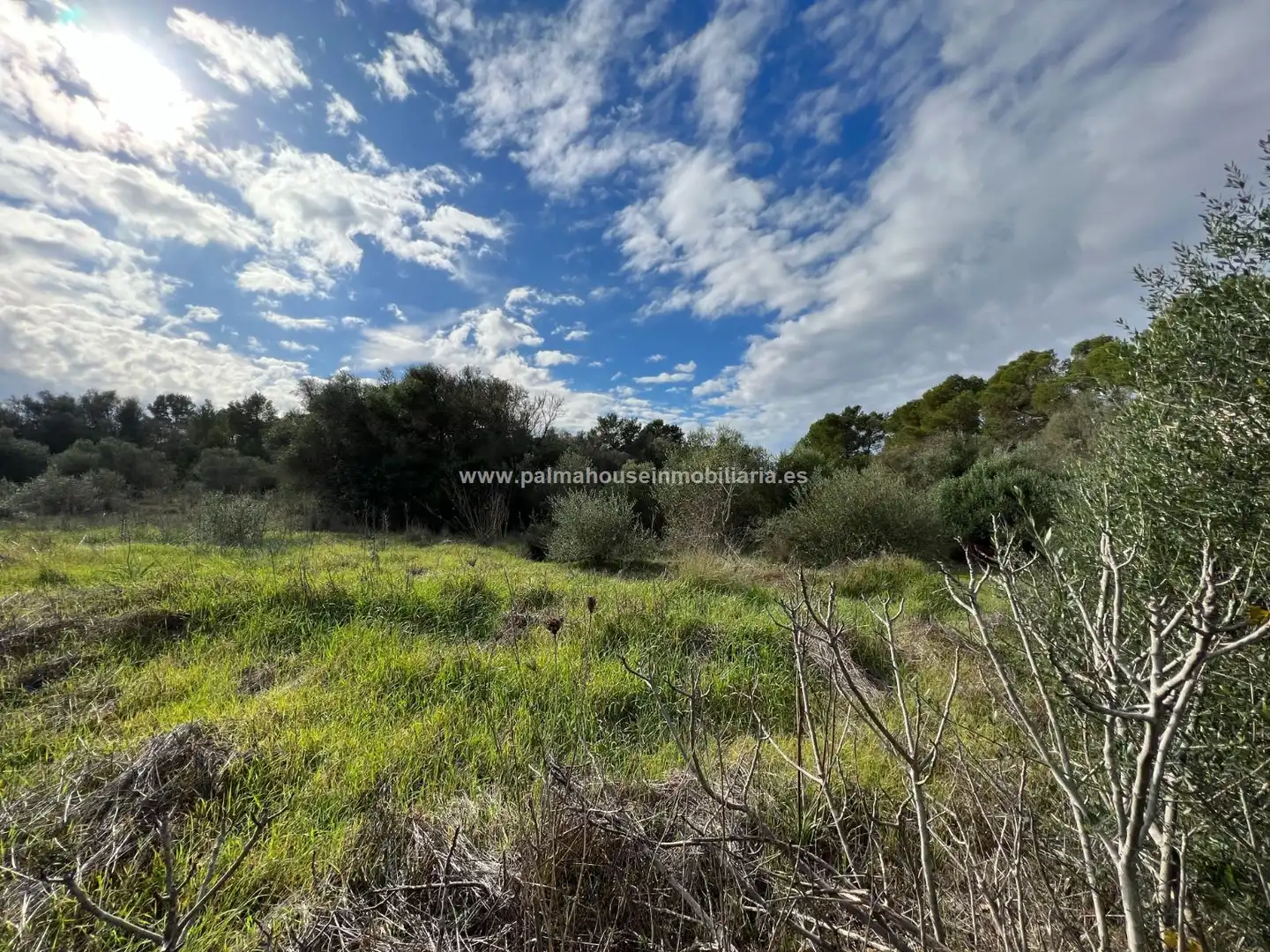 Residencial en venta en Algaida