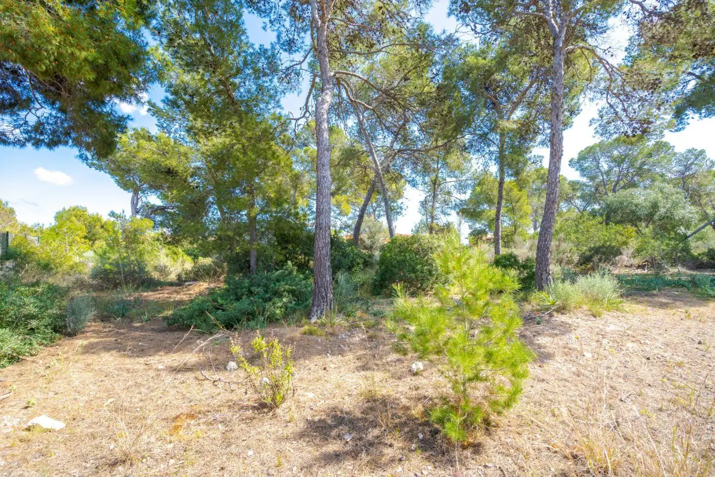 Terreno residencial en venta en Cala Vinyes, imagen 8