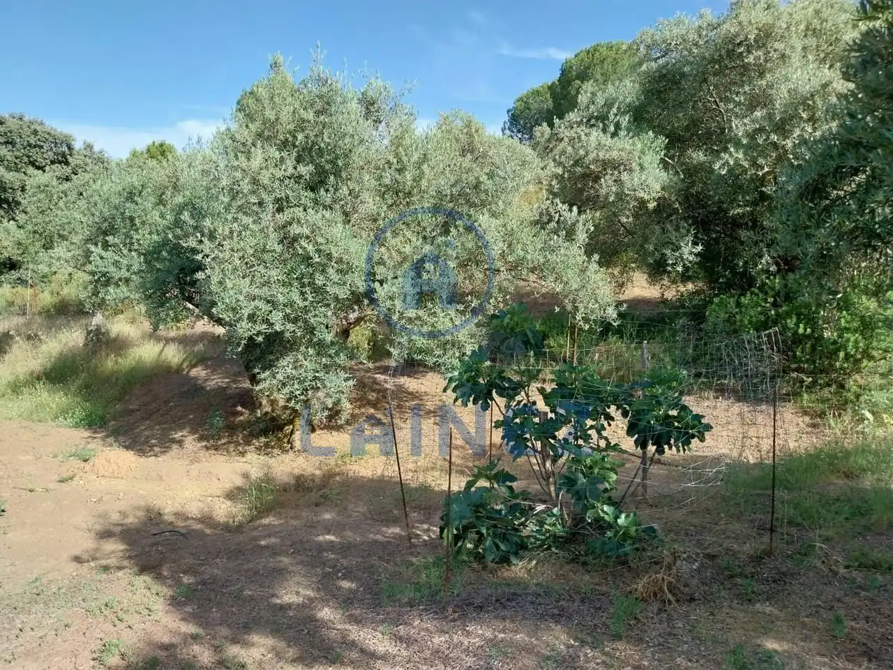 Grundstücke und Bauplätze zum Verkauf in Norte-Sierra, imagen 6