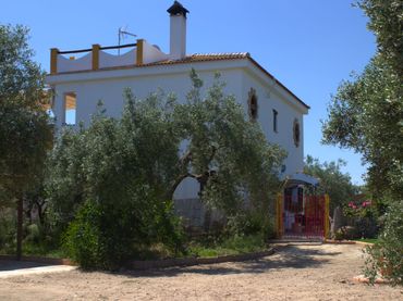 Terreno rústico en venta en gabezo gordo 1