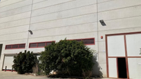 Exterior view of Industrial buildings for sale in Riba-roja de Túria