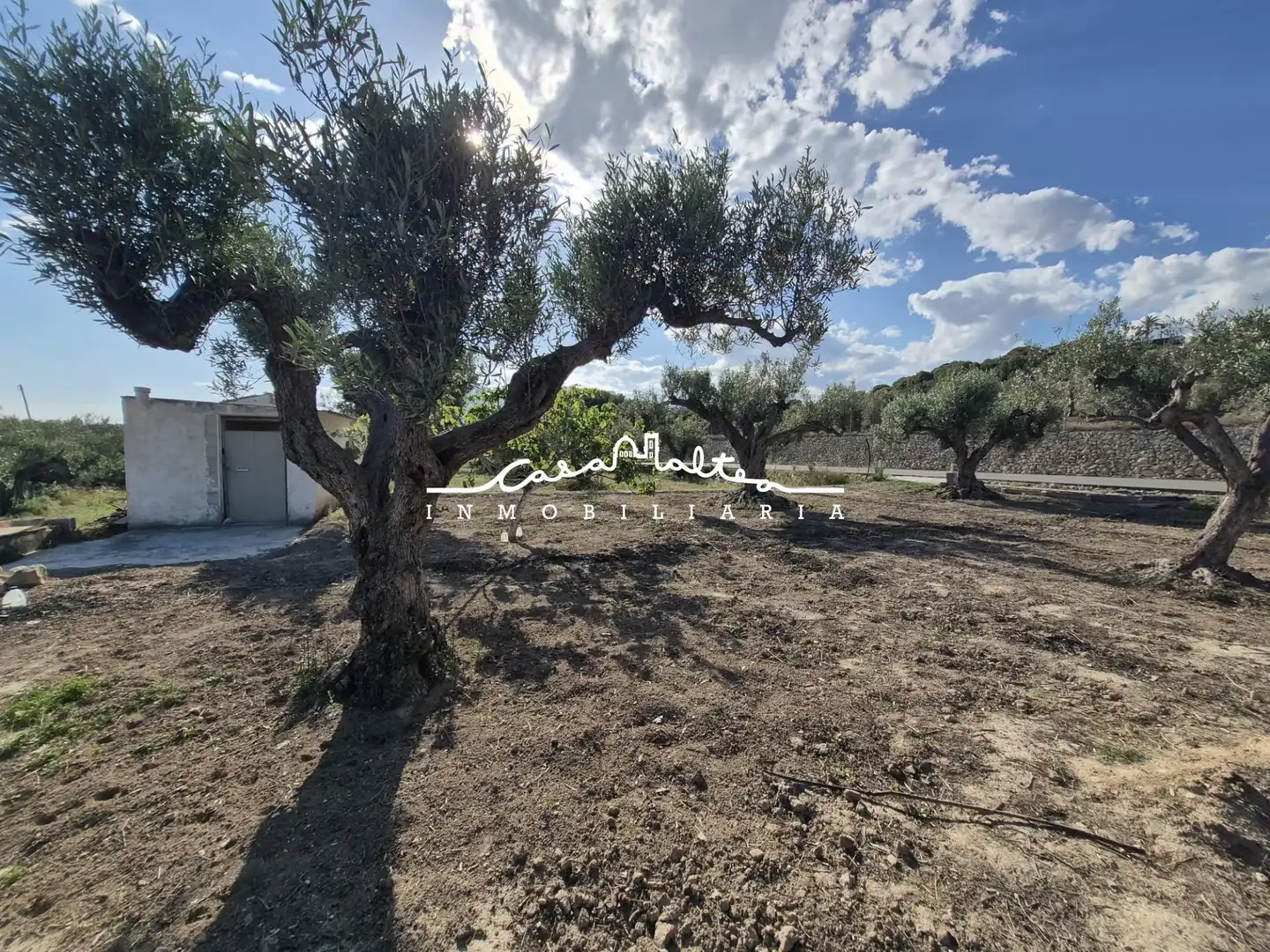 Terreno rustico in vendita a Altea ciudad, imagen 4