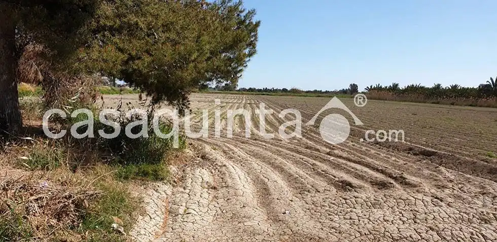Casa o xalet en venda a Av. de la ConstituciÃ³n, Catral