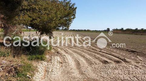 Foto 2 de Casa o xalet en venda a Av. de la Constituciã³n, Catral, Alicante