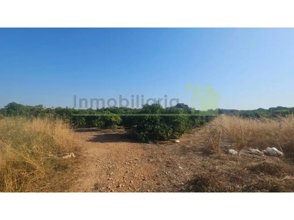 Terreny residencial en venda a Partidas de interior - Zona Rústica, imagen 3