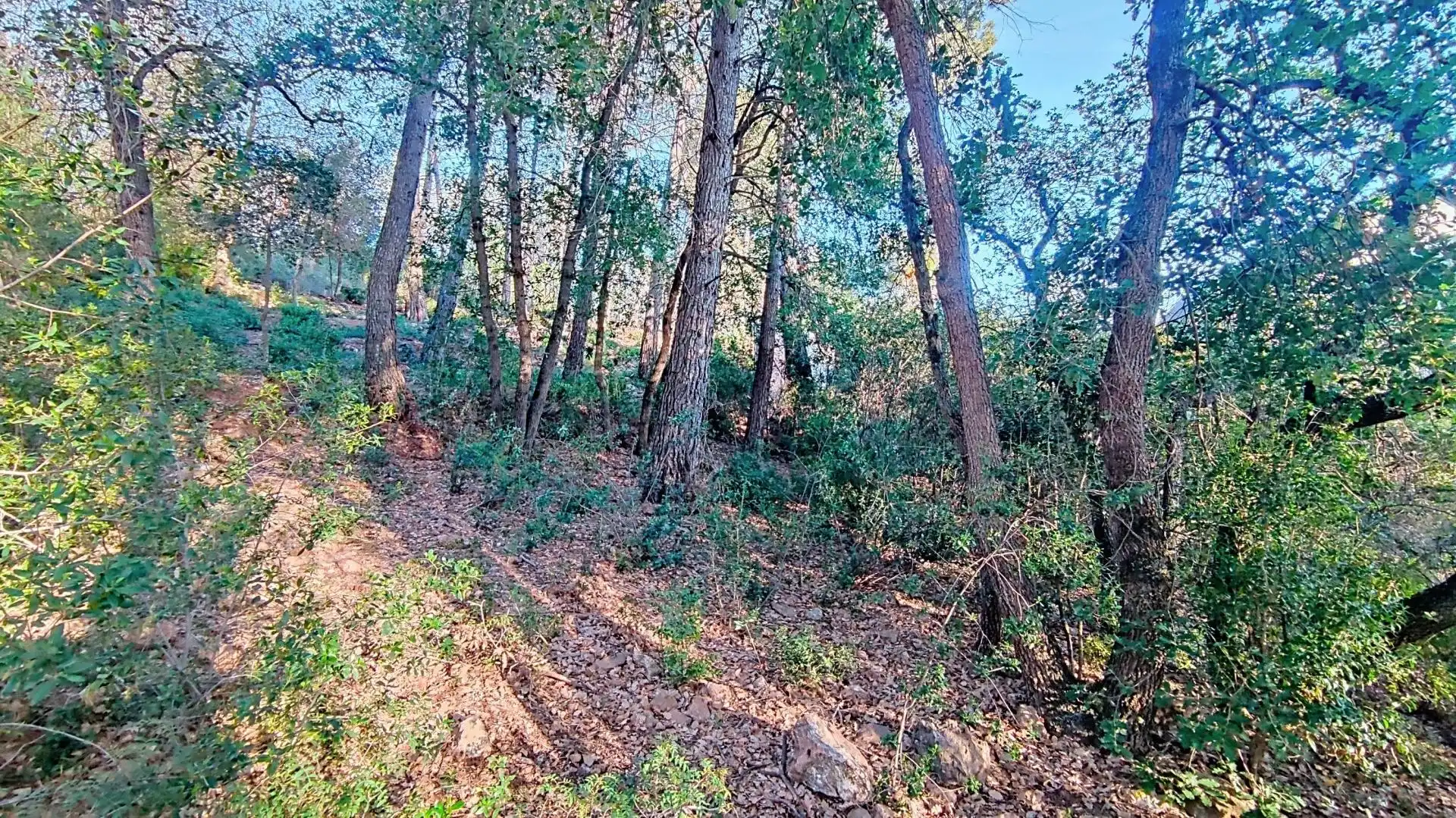 Terreno residencial en venta en Molins de Rei, imagen 18