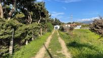 Casa o xalet en venda en Tarifa amb Jardí privat, Terrassa i Traster