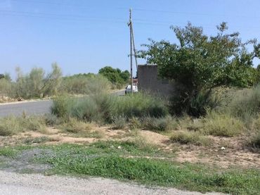 Terreno rustico in vendita a CERDERA ALTA