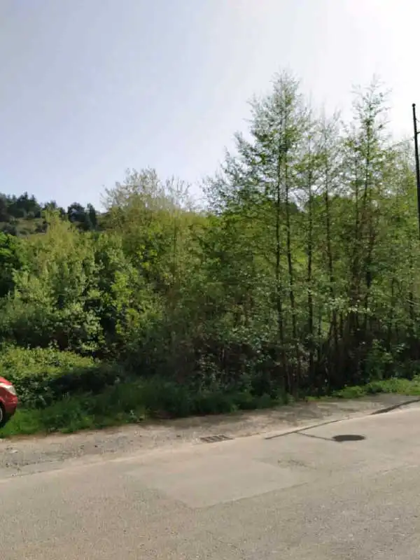Terrains et parcelles à vendre à C/ Camino de Errota, imagen 18