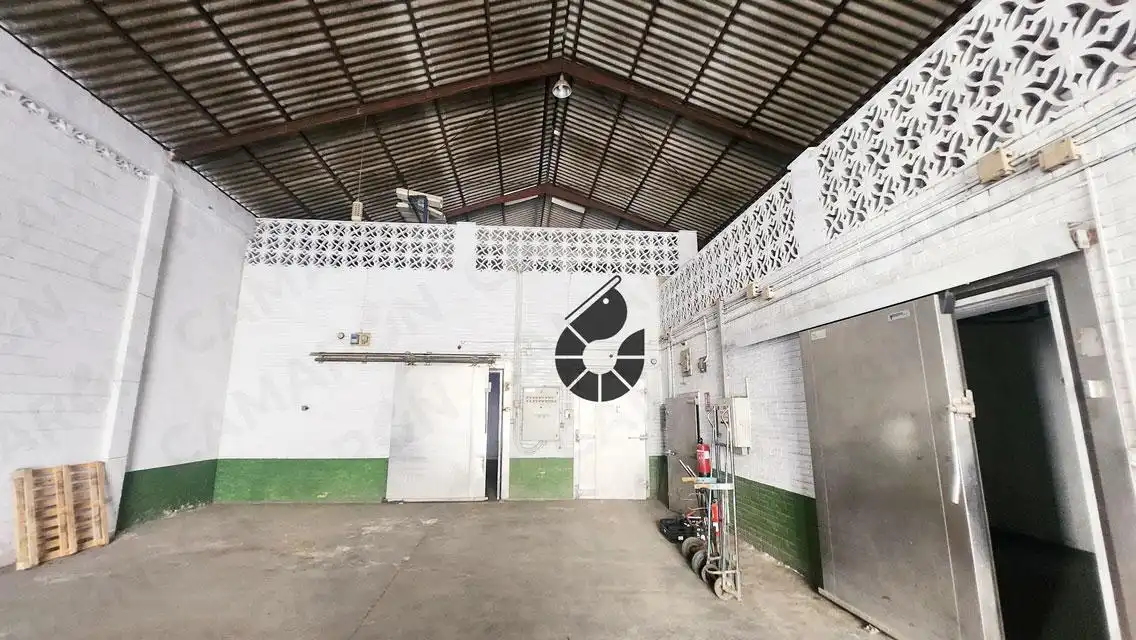 Nave industrial en venta en Coria del Río, imagen 6