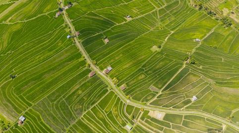 Foto 4 de Residencial en venda a Barrio del Centro, Alicante / Alacant