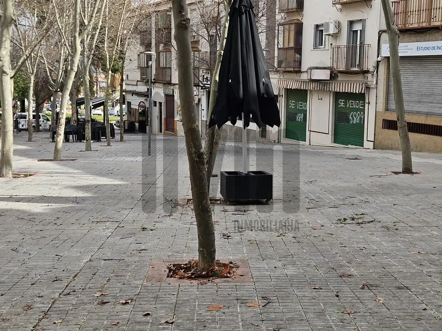 Außenansicht von Geschaftsraum zur Miete in Jaén