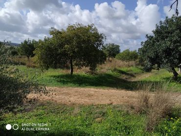 Terreno rustico in vendita a Arcos de la Frontera