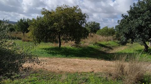 FINCA RÚSTICA