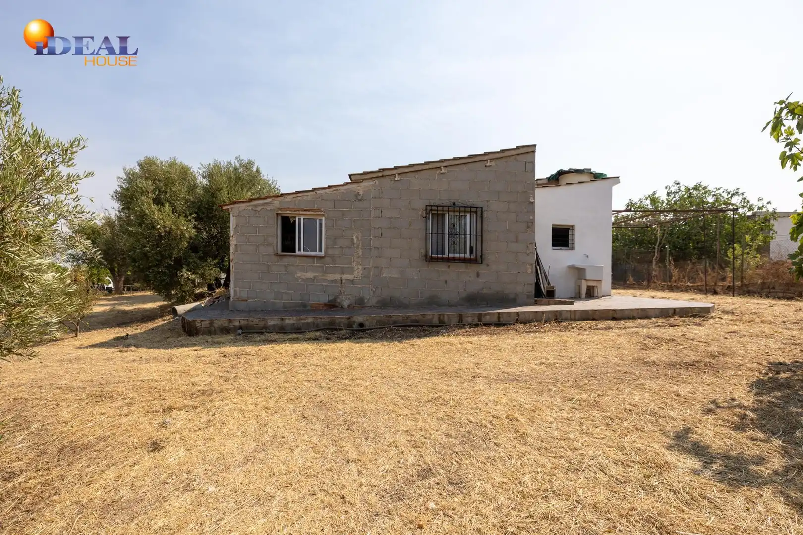 Vista exterior de Finca rústica en venta en Moraleda de Zafayona