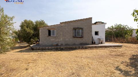Foto 5 de Finca rústica en venda a Calle de Moraleda a Cómpeta, 22, Moraleda de Zafayona, Granada