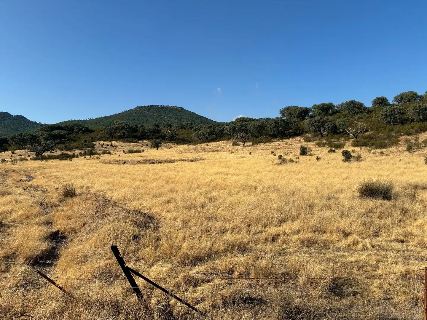 Rural land for sale in Puerto de San Vicente, imagen 19