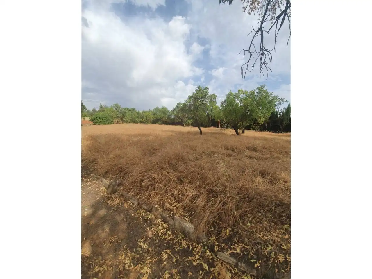 Finca rústica en venta en Torreperogil