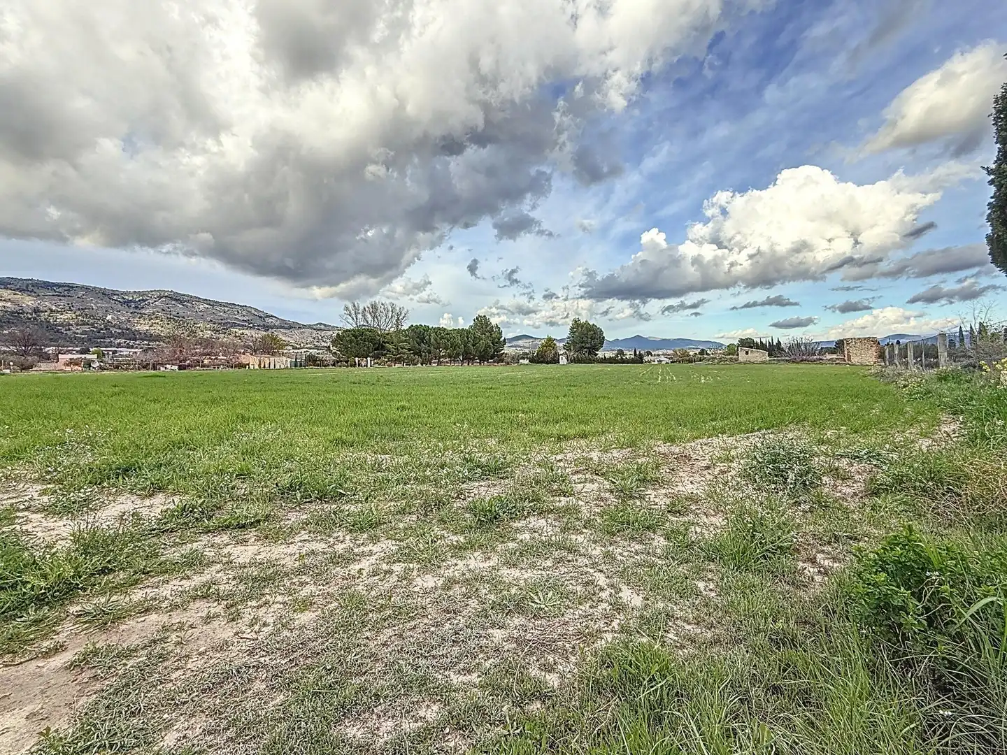 Rural land for sale in Partida Polígono 12 Parcela 103 CAÑARETS. ONIL (ALICANTE, imagen 7
