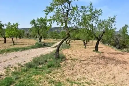 Country homes for sale in Ráfales