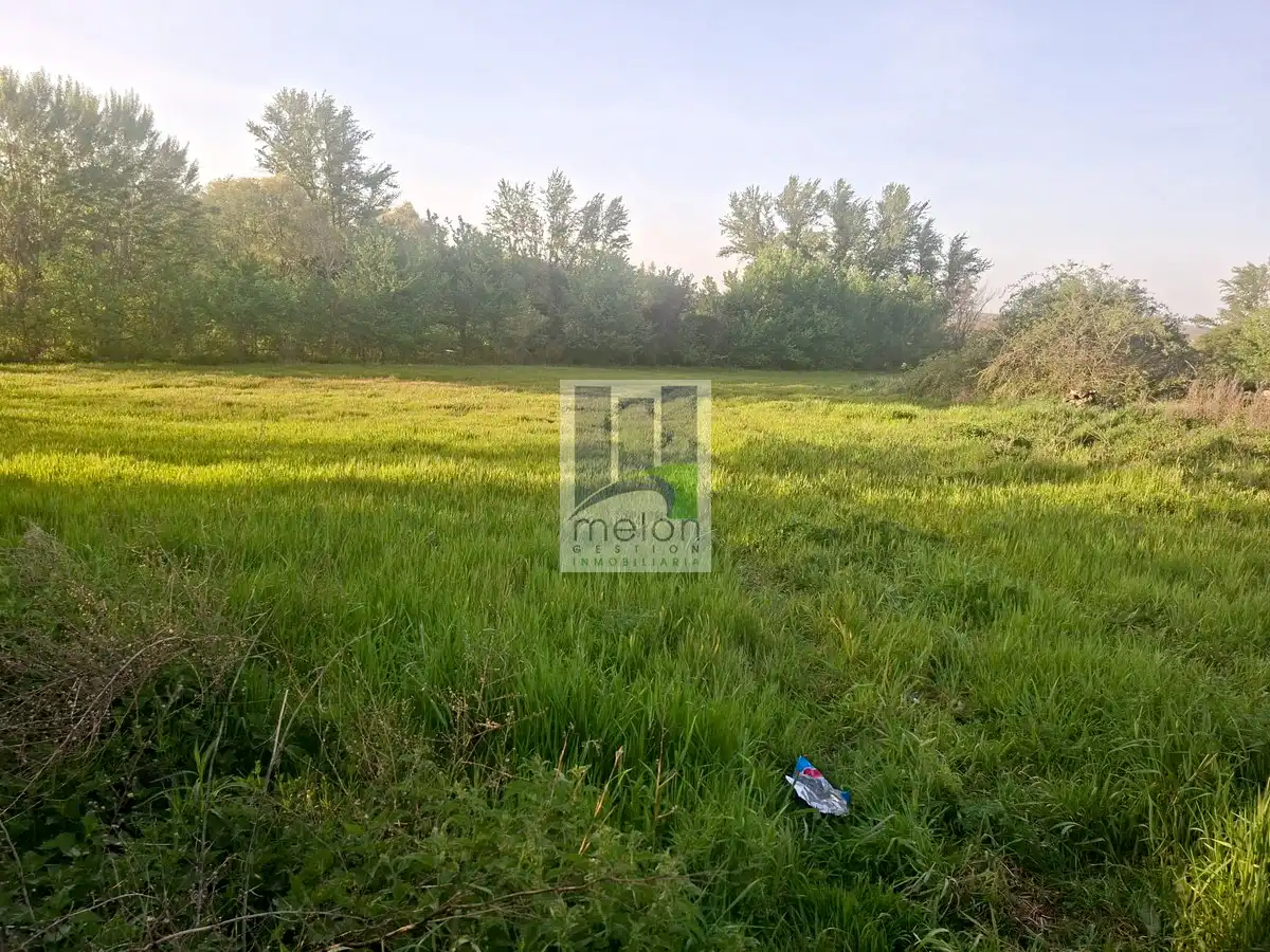 Residential for sale in Arcos
