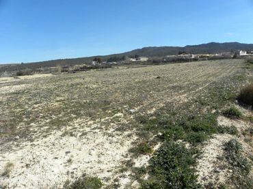 Terreno residenziale in vendita a Carretera (ENCAR)PRADOS