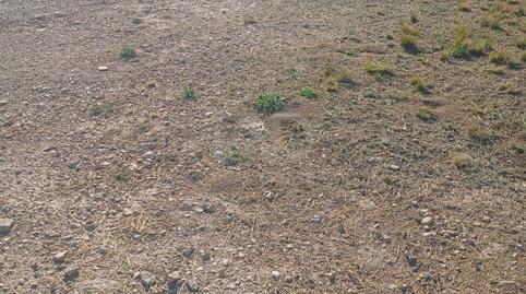 Foto 4 de Residencial en venda a Zarcilla de Ramos, Murcia