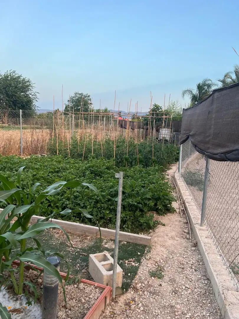 Land for sale in Murcia