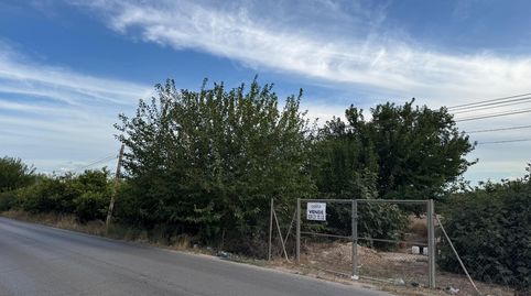 Parcela rústica en Orihuela, immagine 2