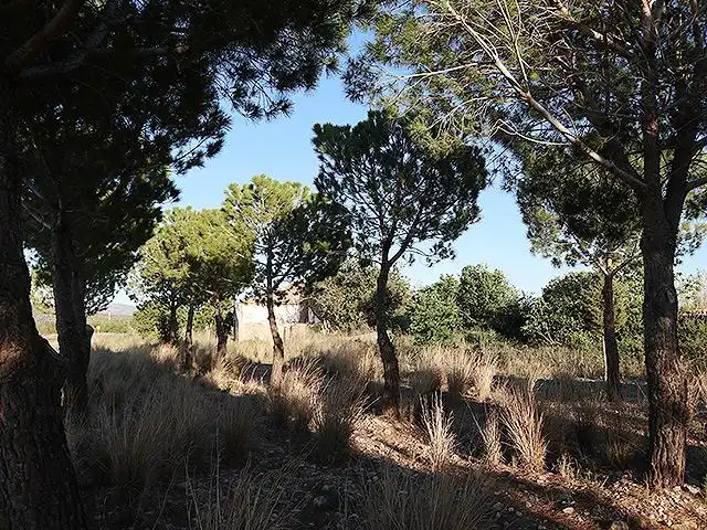 Maison rustique avec jardin à vendre à Ctra. La Senia, imagen 5