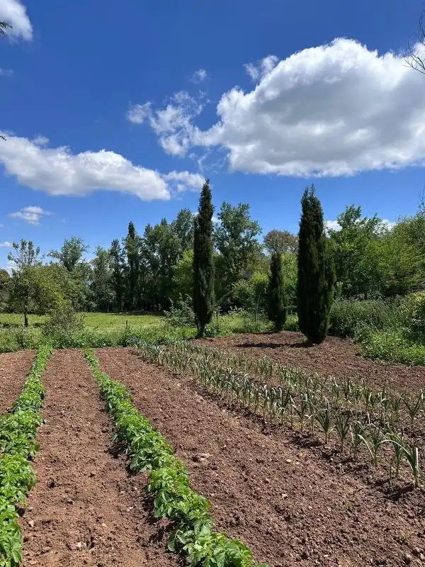 Casa o chalet en venta en Aracena con Calefacción, Jardín privado y Terraza