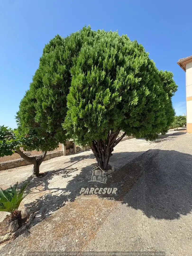 Casa con terraza en venta en Almodóvar del Río, imagen 31