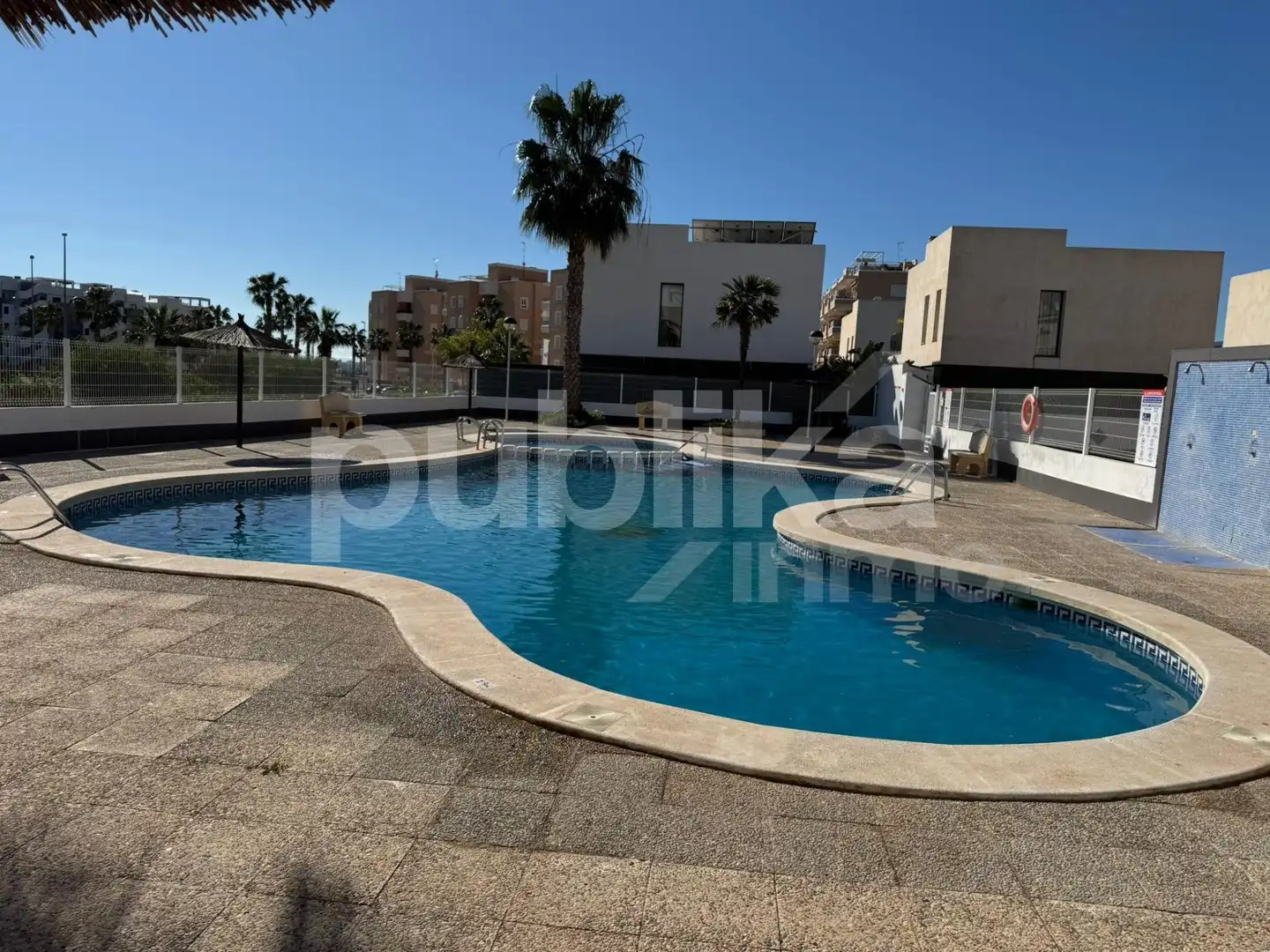 Swimming pool of Detached homes for sale in Guardamar del Segura  with Private garden, Terrace and Balcony