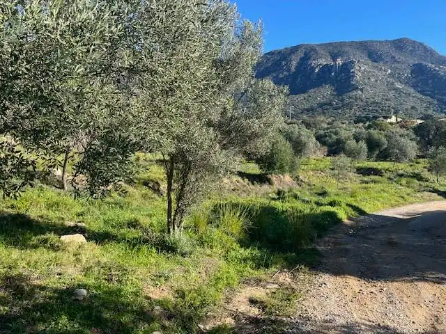 Residential land for sale in Can Muni. Polígono 2 Parcela, imagen 8