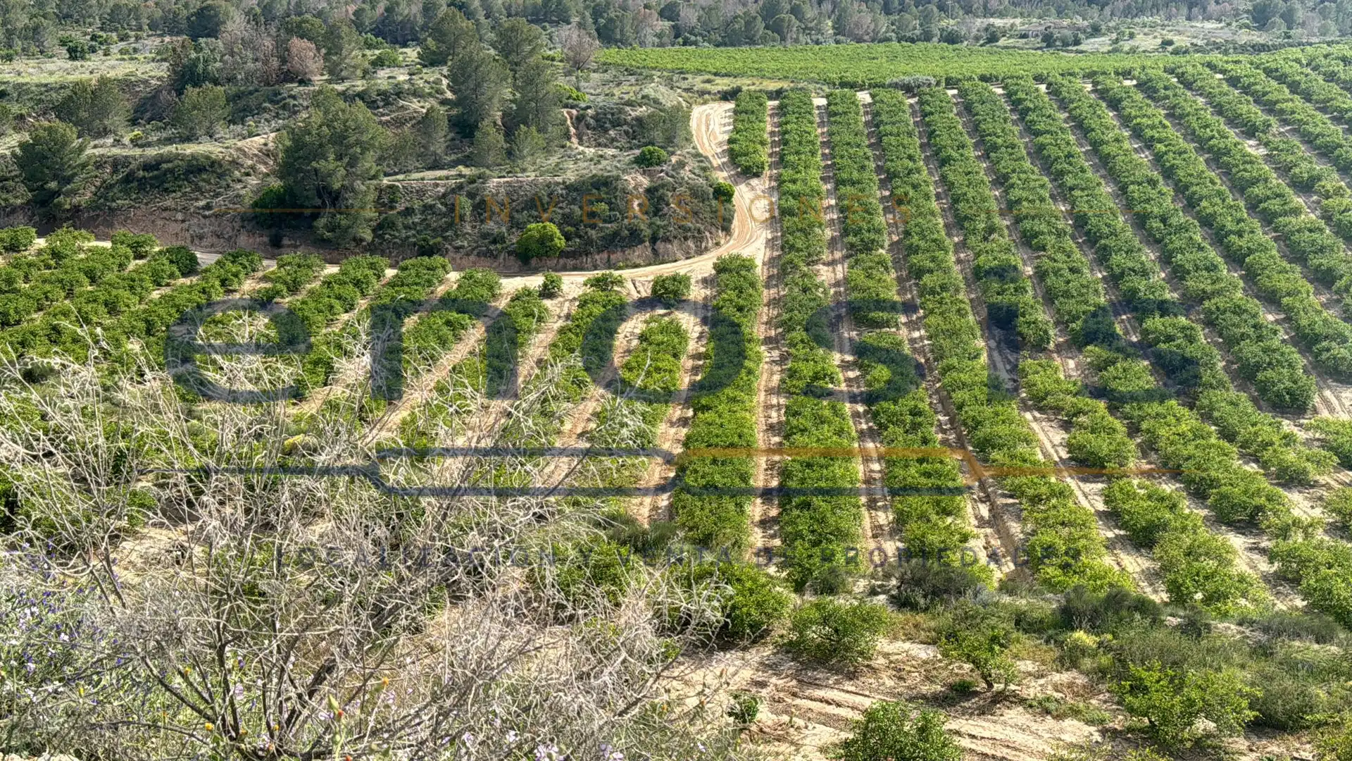 Grundstücke zum Verkauf in Alhama de Murcia