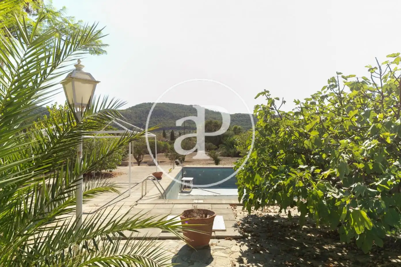Jardí de Casa o xalet en venda en Andratx amb Calefacció, Jardí privat i Terrassa