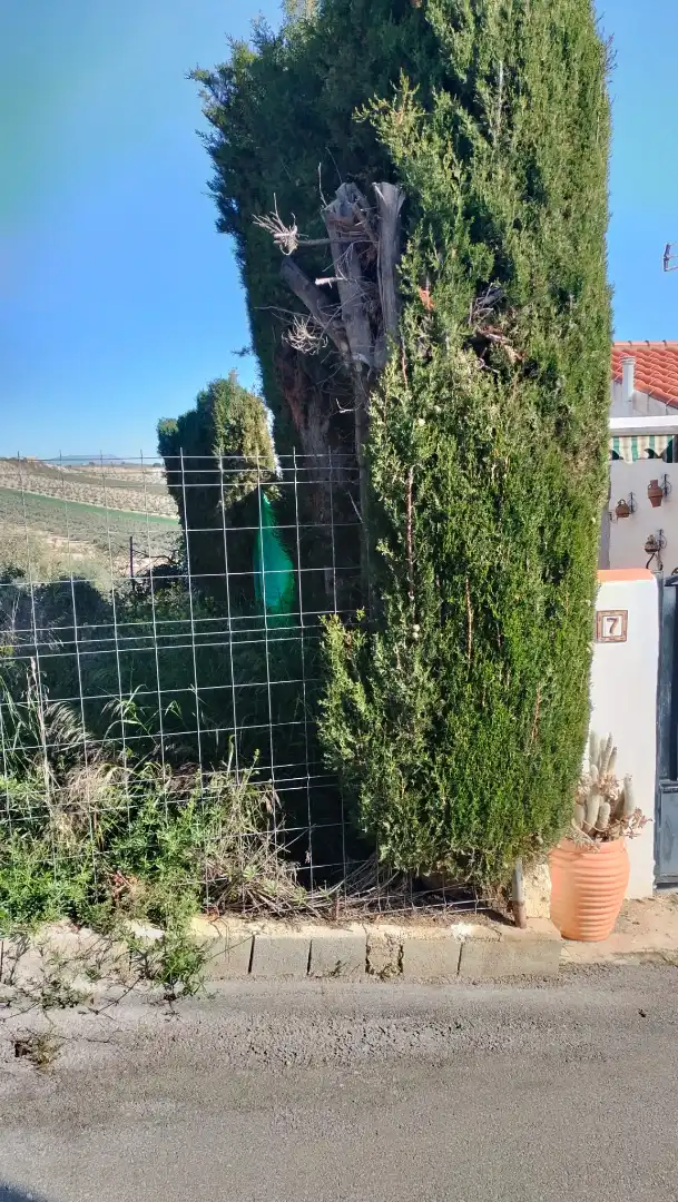 Garden of Residential for sale in Ventas de Huelma