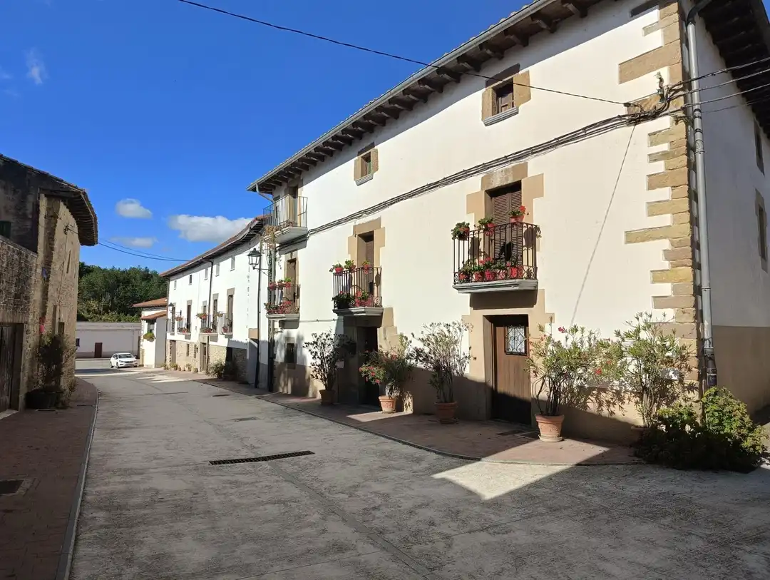 Terraced house to rent in ESPOZ Y MINA 17, imagen 23