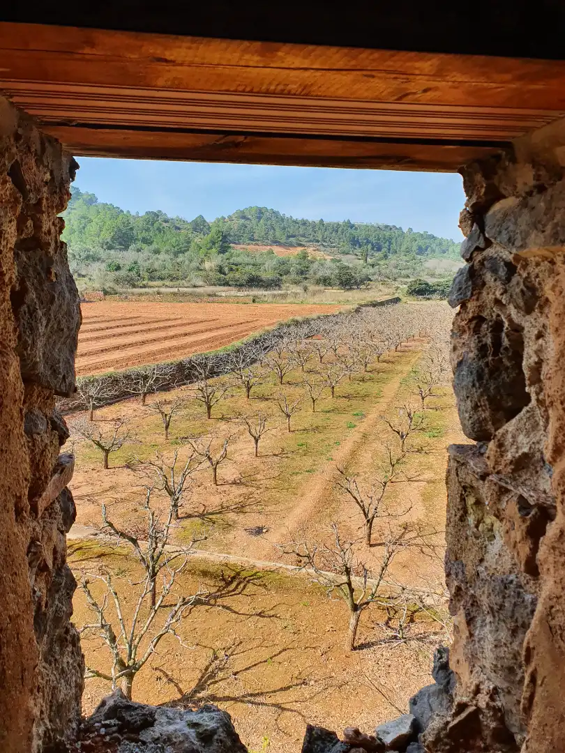 Terreno rustico in vendita a Segorbe, imagen 10