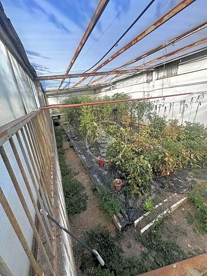 Jardí de Casa o xalet en venda en Linares amb Aire condicionat, Calefacció i Jardí privat
