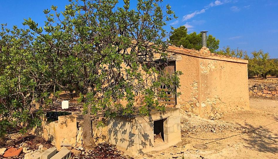 Foto 1 de Finca rústica en venta en Xerta, Tarragona
