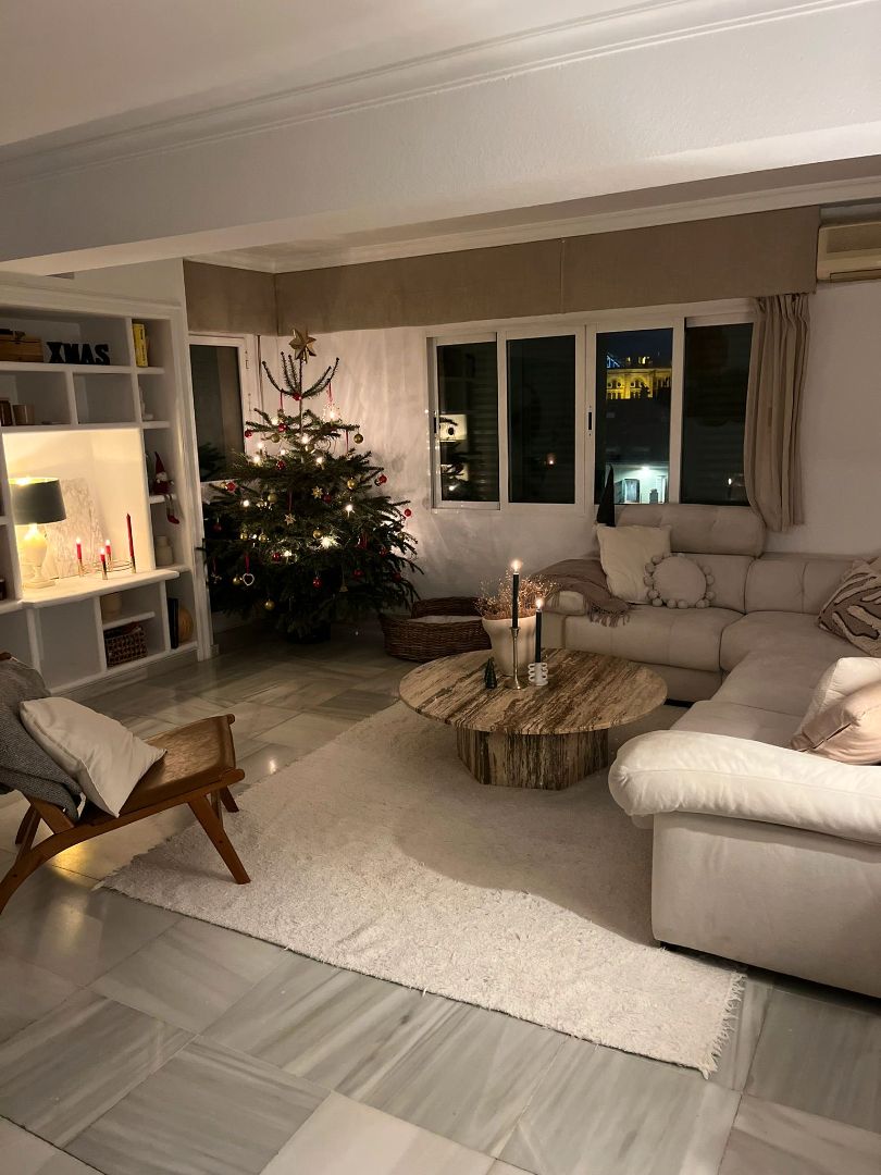 Living room of Flat for rent in Málaga Capital  with Air Conditioner, Terrace and Furnished