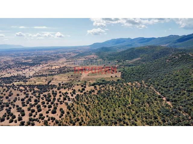 Finca rústica en Venta en Calle El Girillo en Villar del Pedroso