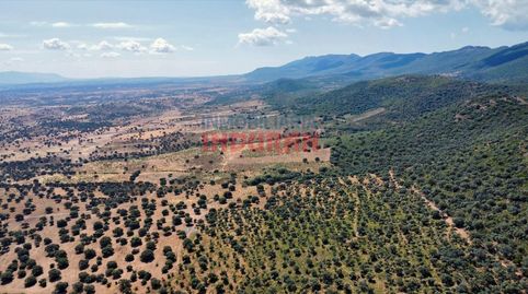 Finca rústica en Villar del Pedroso, Cáceres.