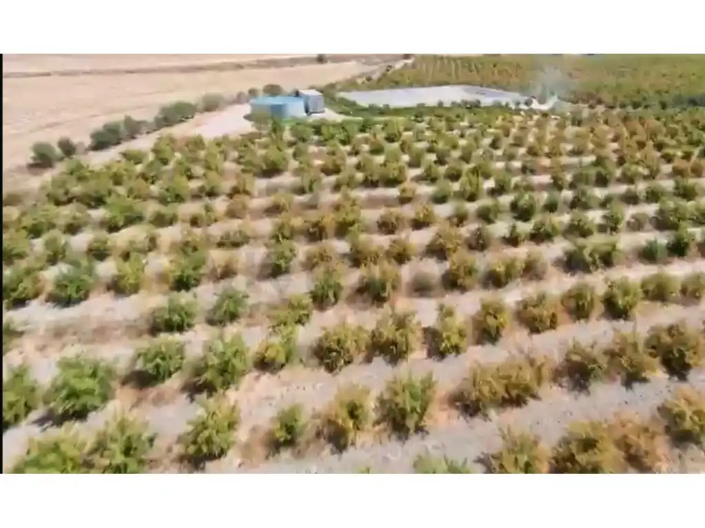 Rural land for sale in El Retiro - Parque Atlántico - Ronda este, imagen 37