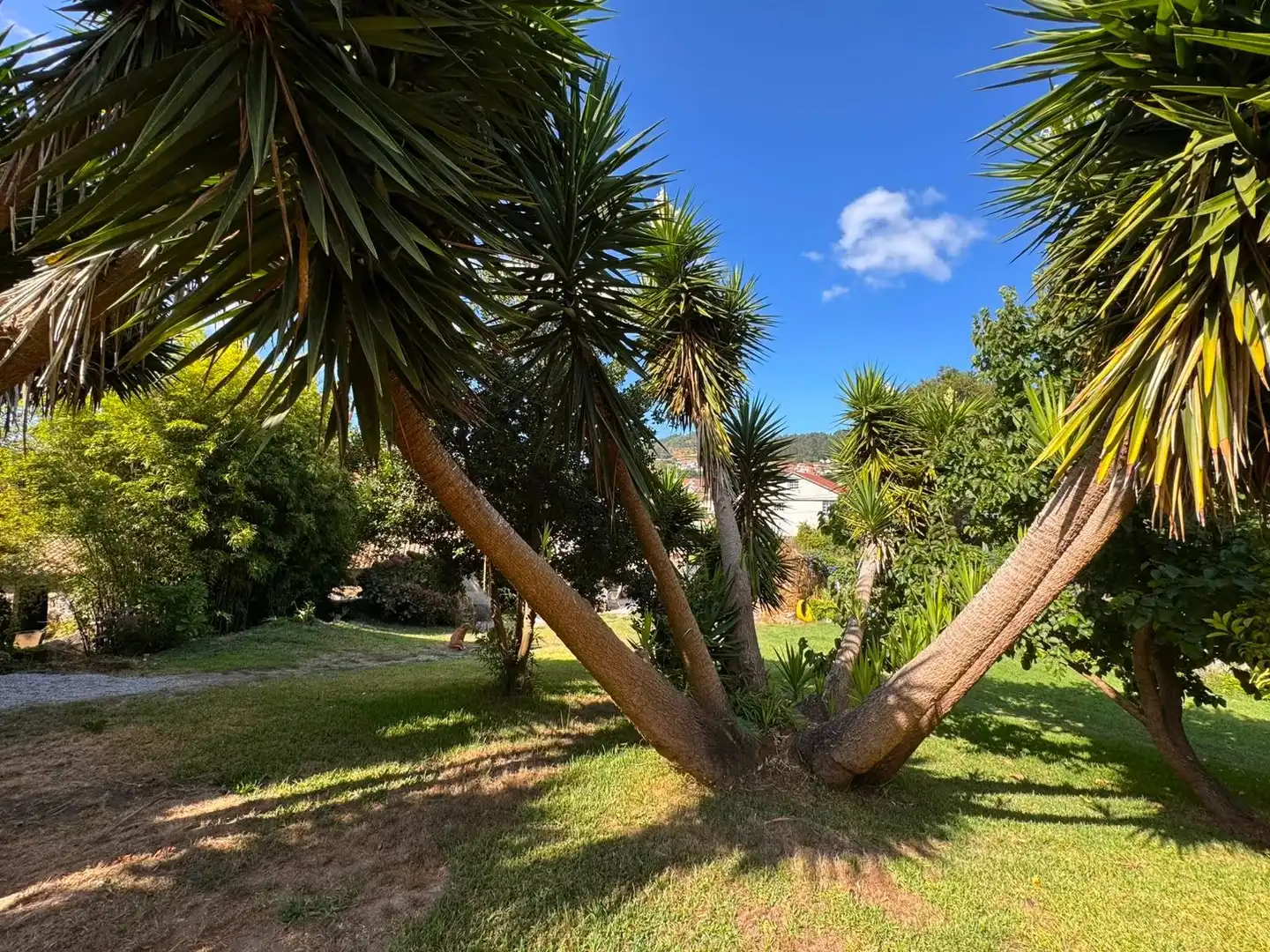 Maison avec terrasse à vendre à Lugar VERIN (DE) - COIRO 6, imagen 20